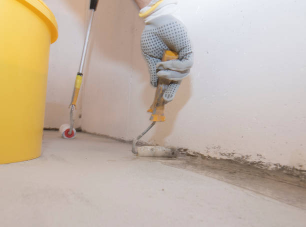 Best Pest Prevention Services  in Aurora, CO